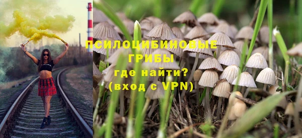 мескалин Переславль-Залесский