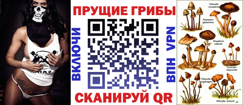 Галлюциногенные грибы Psilocybe  ссылка на мегу онион  Калтан 